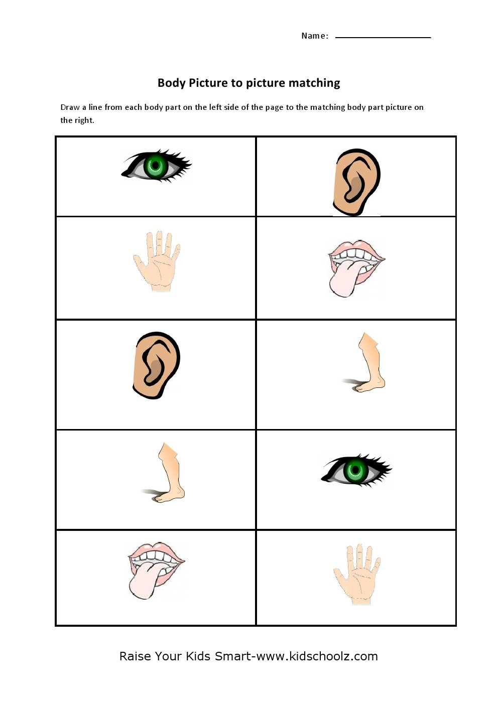 Human Body Parts Matching Worksheets