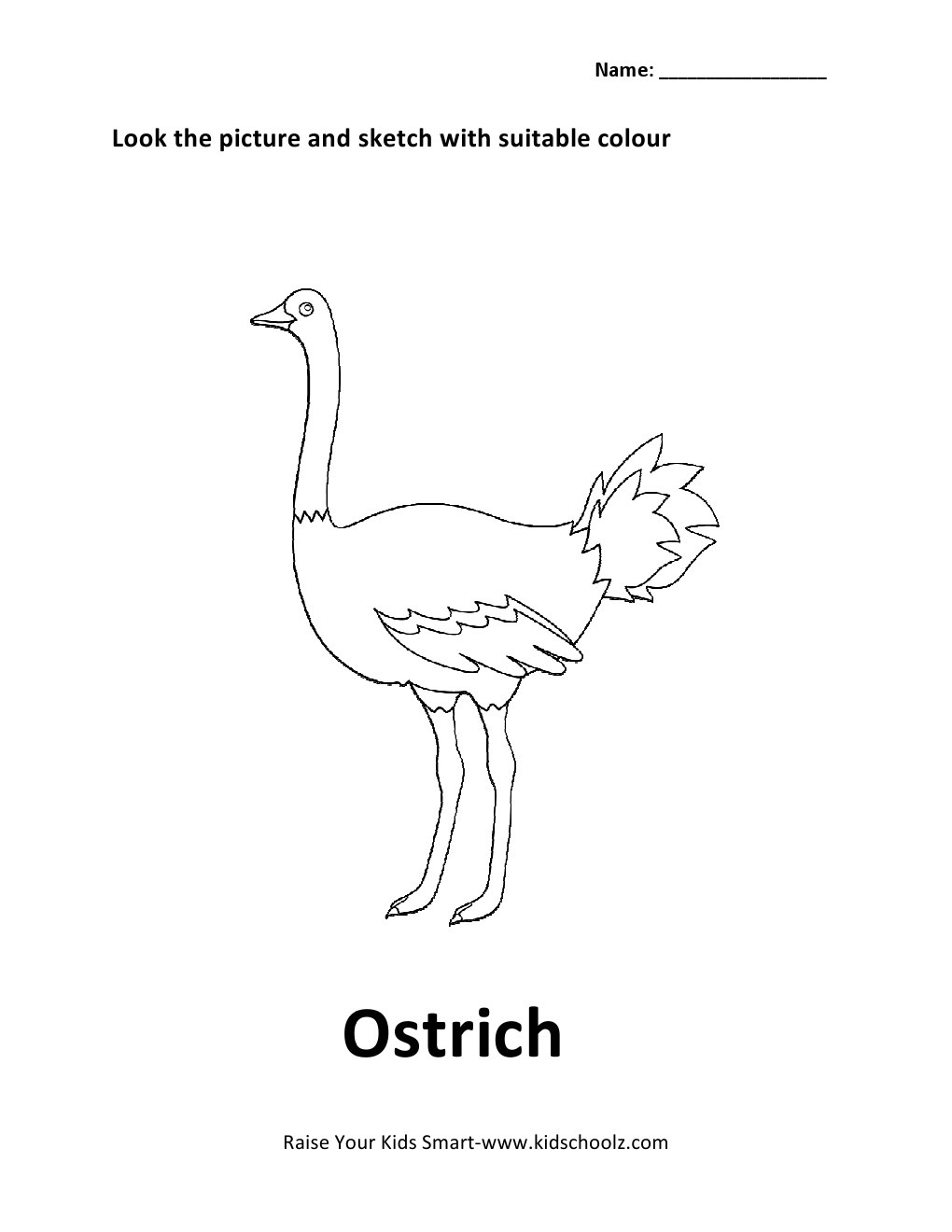 Birds Colouring Worksheets