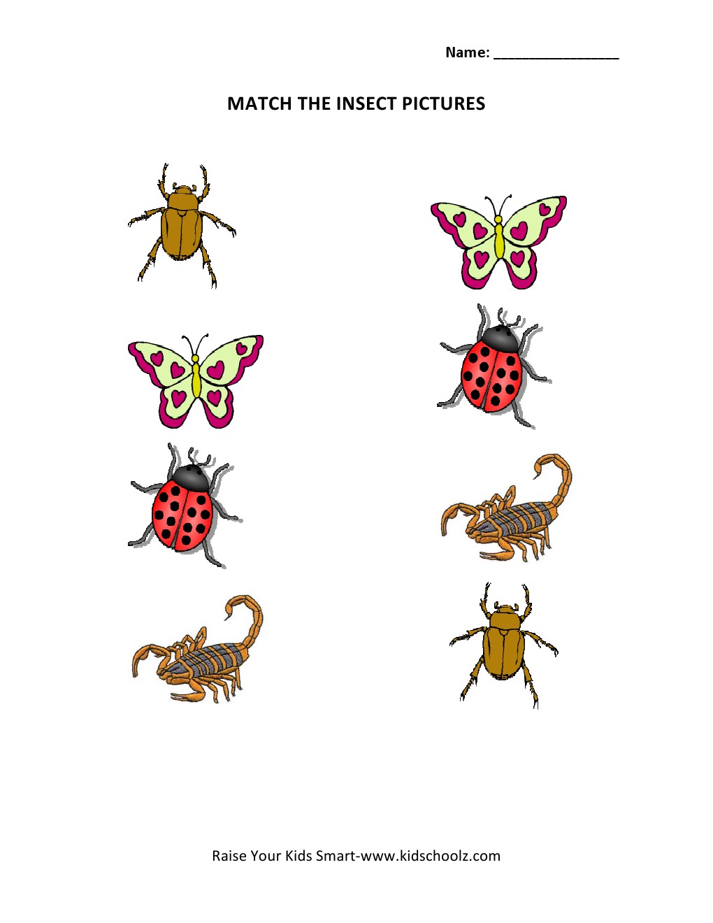 Insect Worksheets For Kinder Differentiate Birds And Insectsbug Activities For Children 