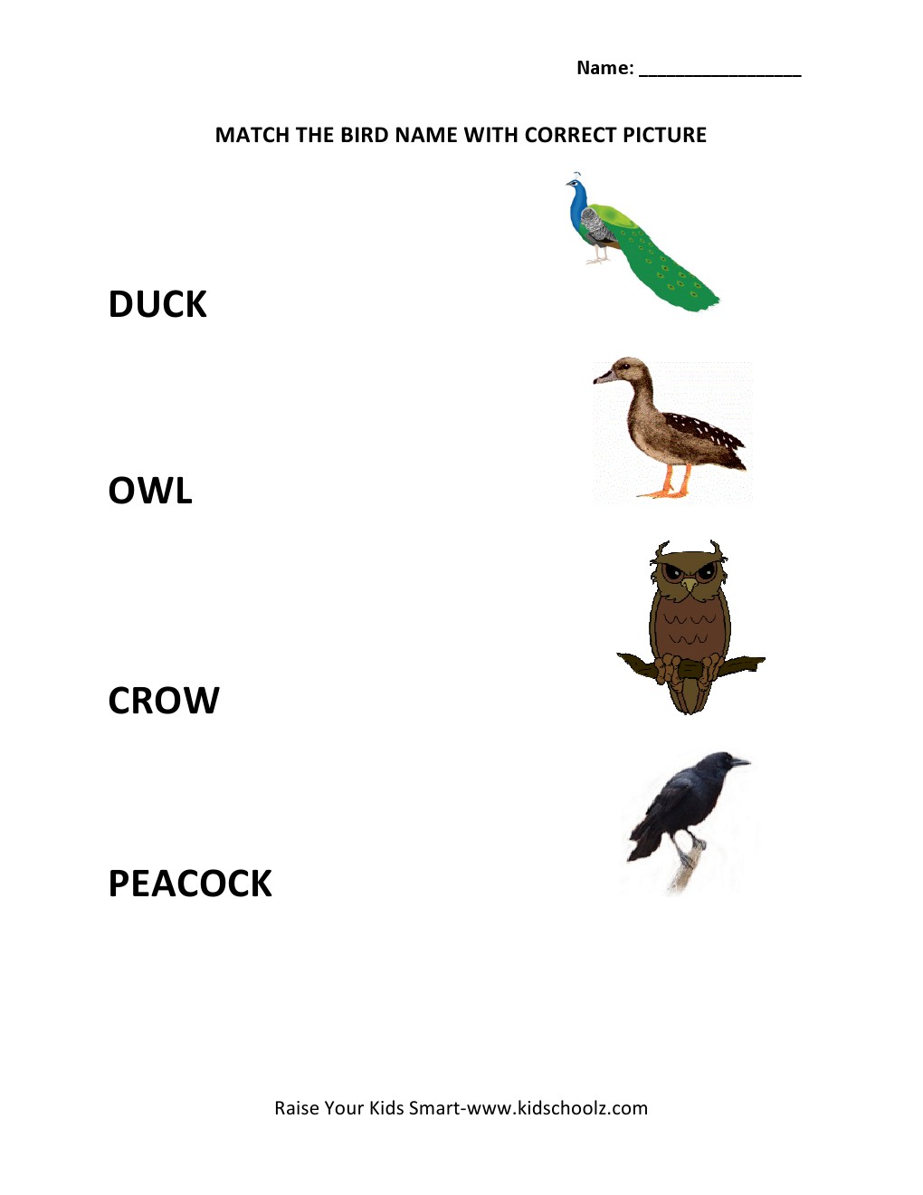 Picture To Name Matching Worksheets - Birds - Kidschoolz
