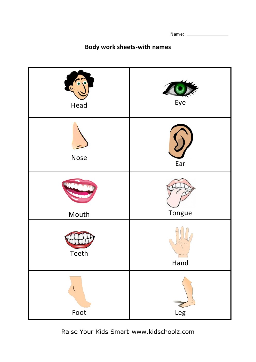 Human Body Parts Identification Worksheets