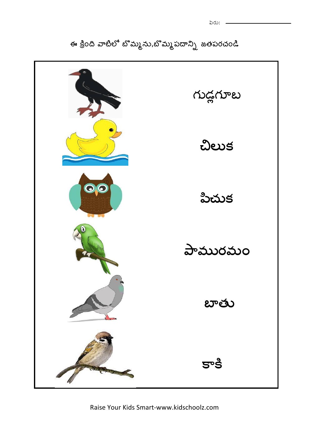 Telugu- Birds Worksheet 2 - Kidschoolz
