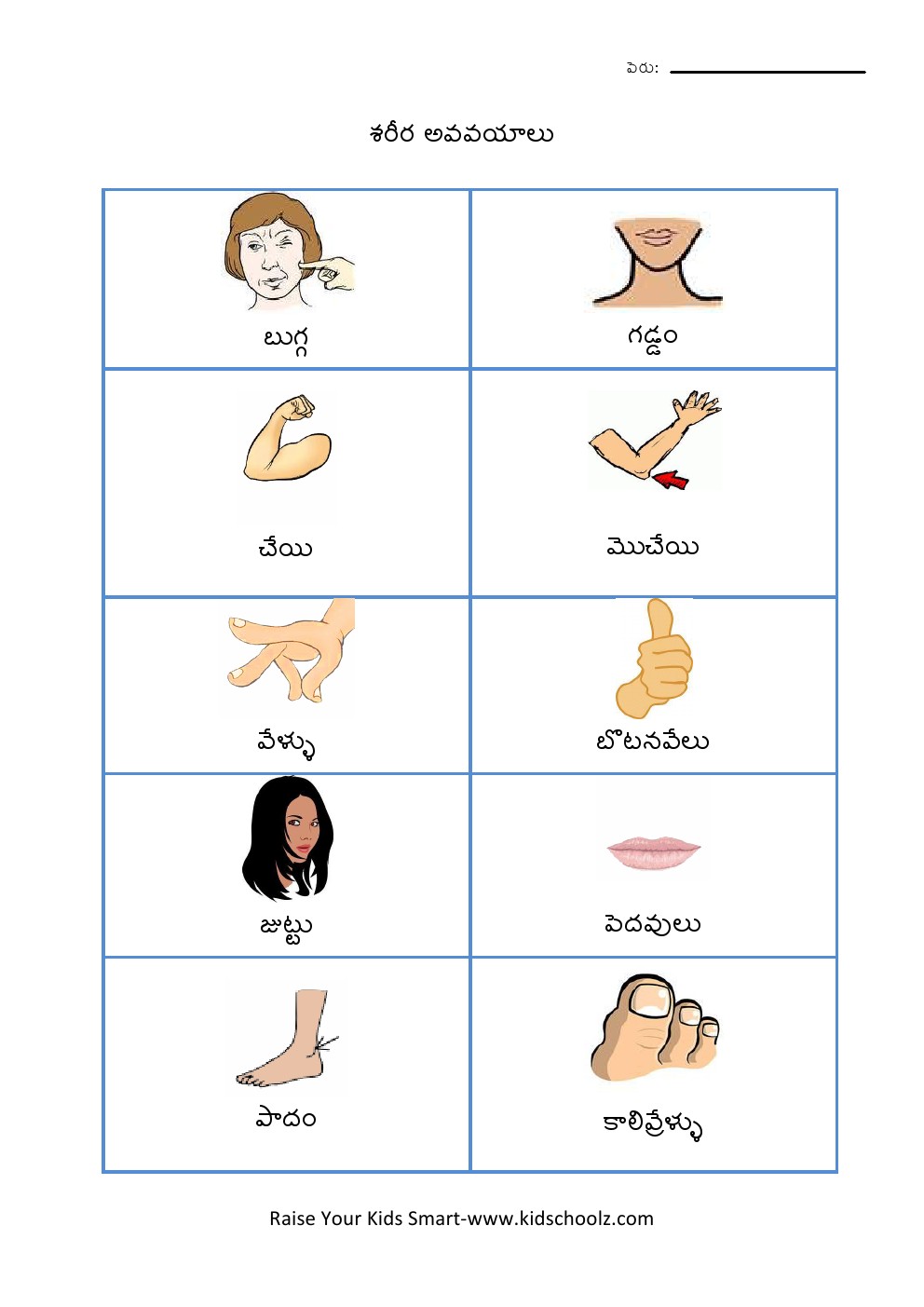 Telugu- Body Parts Worksheet 2 - KidschoolzKidschoolz math worksheets, worksheets, grade worksheets, and free worksheets Body Parts Worksheet For Kindergarten 2 1403 x 992