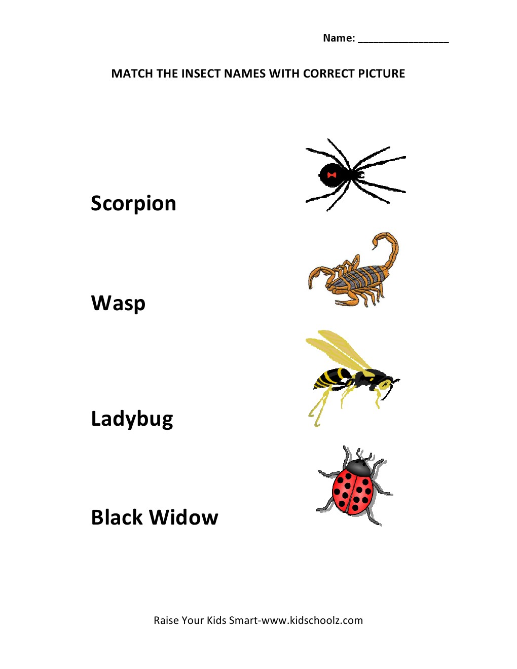 No name matching found. Insects на английском. Insects Worksheets. Insects Worksheets Match for Kids. Насекомые на английском языке.