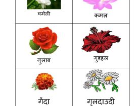 Hindi Flowers Worksheets Kidschoolz Hindi Flowers Worksheets Kidschoolz