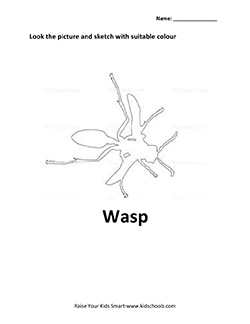 insect-2