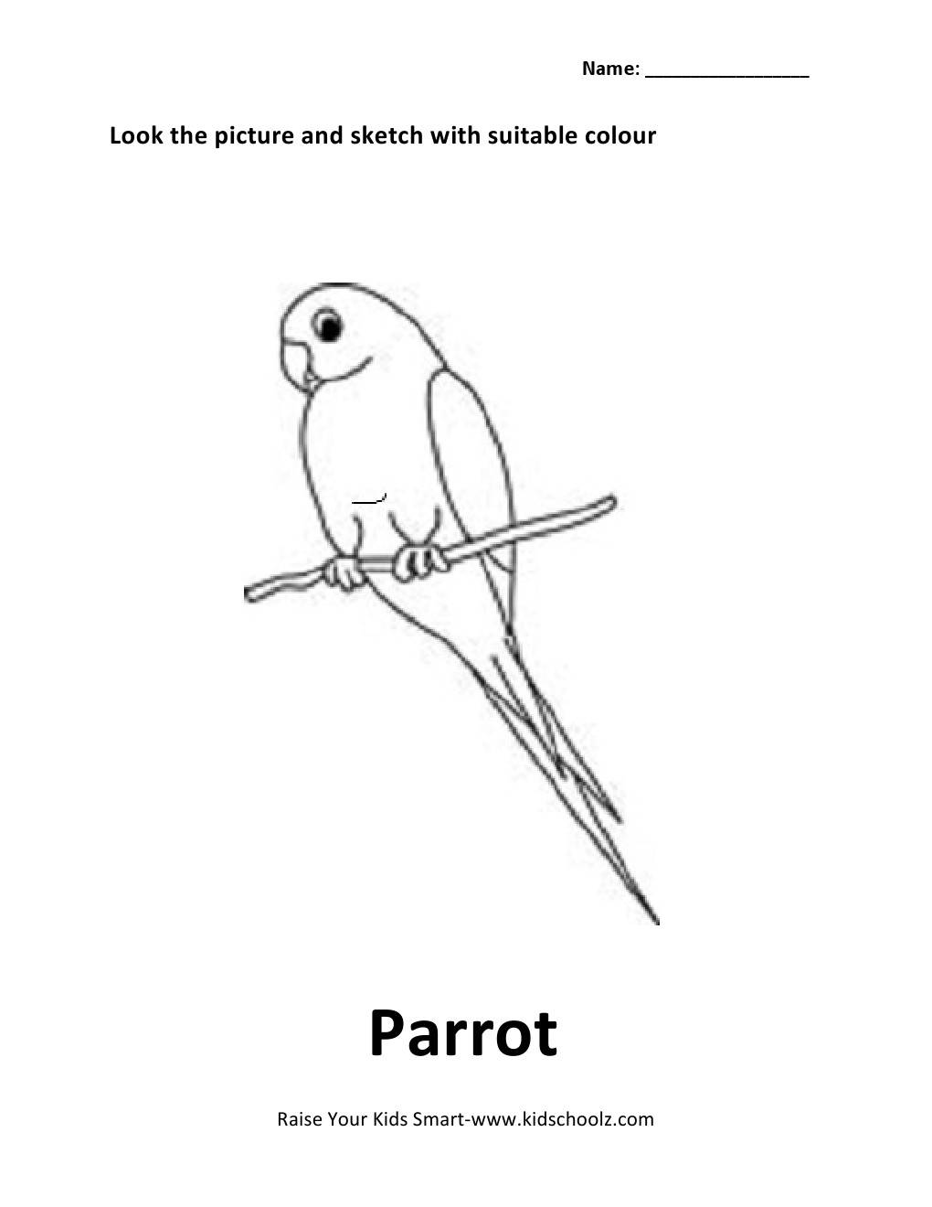 Birds Colouring Worksheets