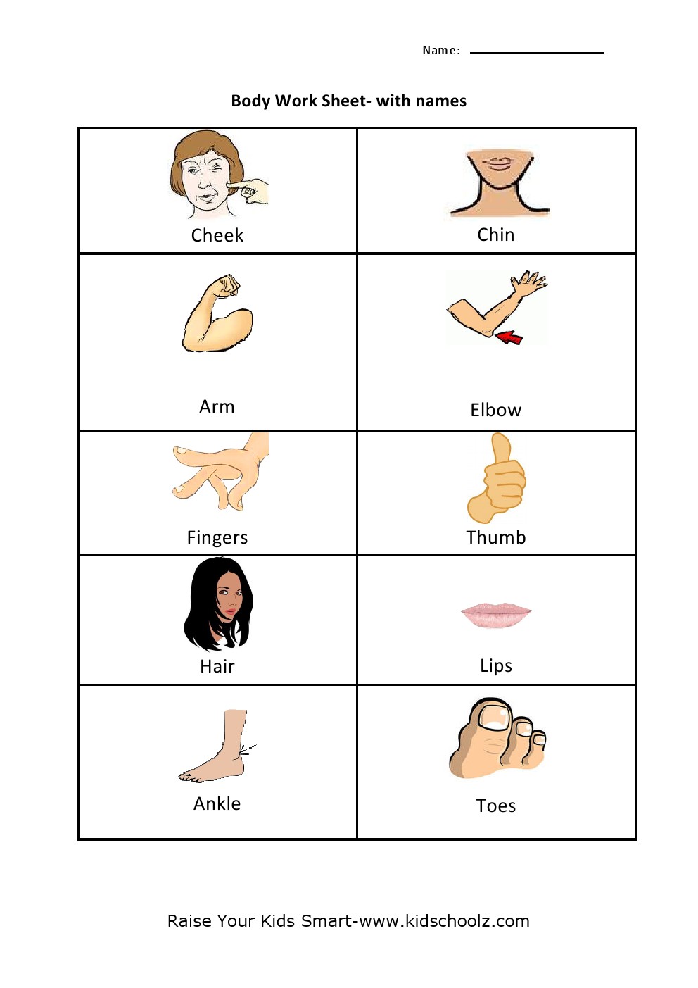 Human Body Parts Identification Worksheets