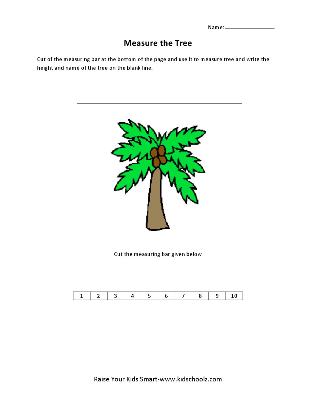 Grade 1 - Measurement Worksheet