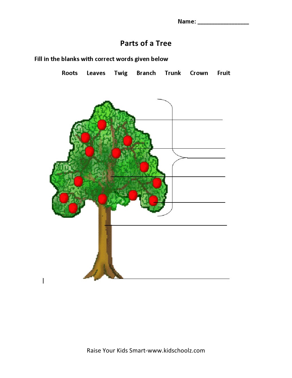 Grade 2 - Parts of a Tree Worksheet