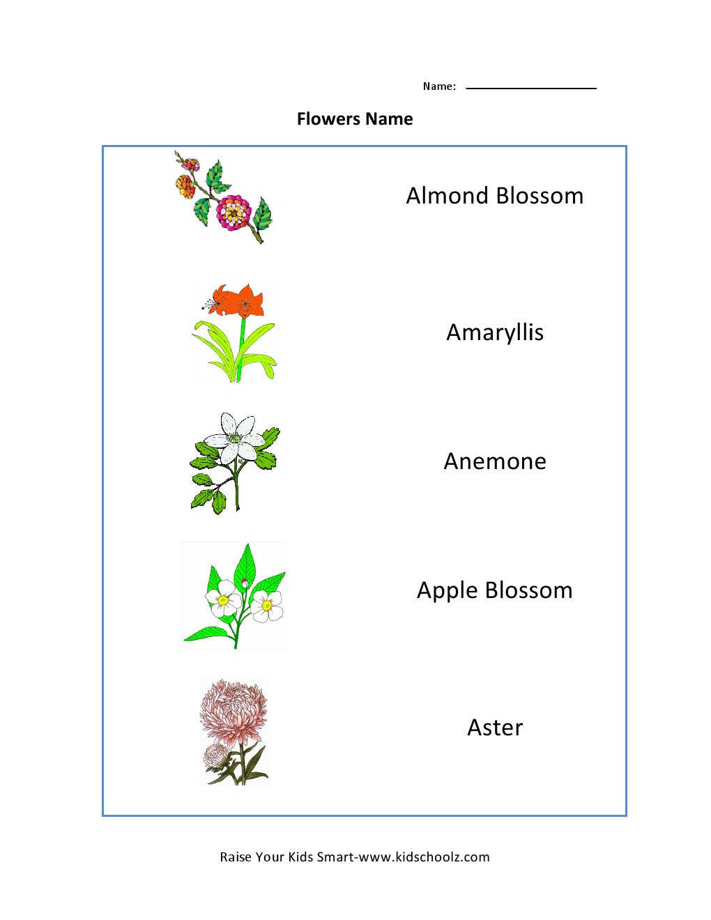 Grade 3 Worksheet