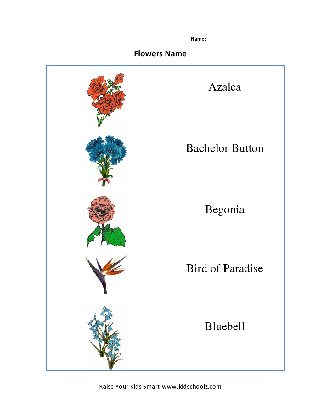 Grade 3 Worksheet