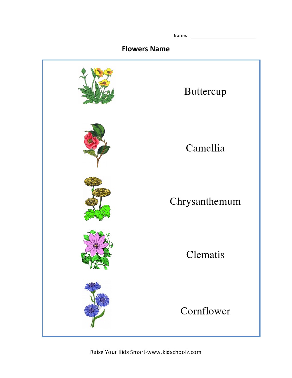 Grade 3 Worksheet