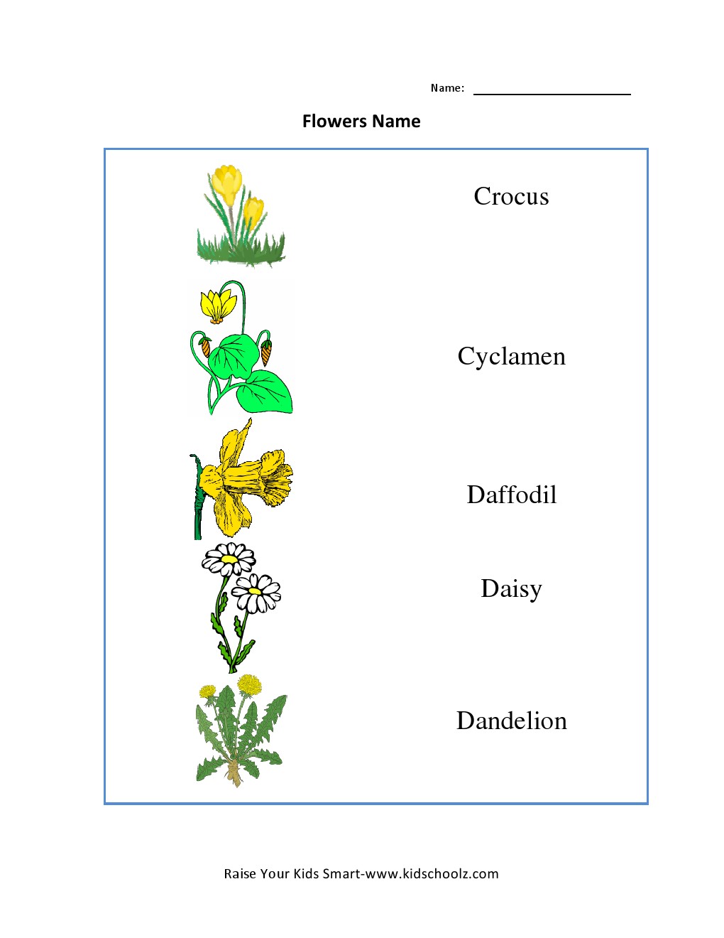 Grade 3 Worksheet