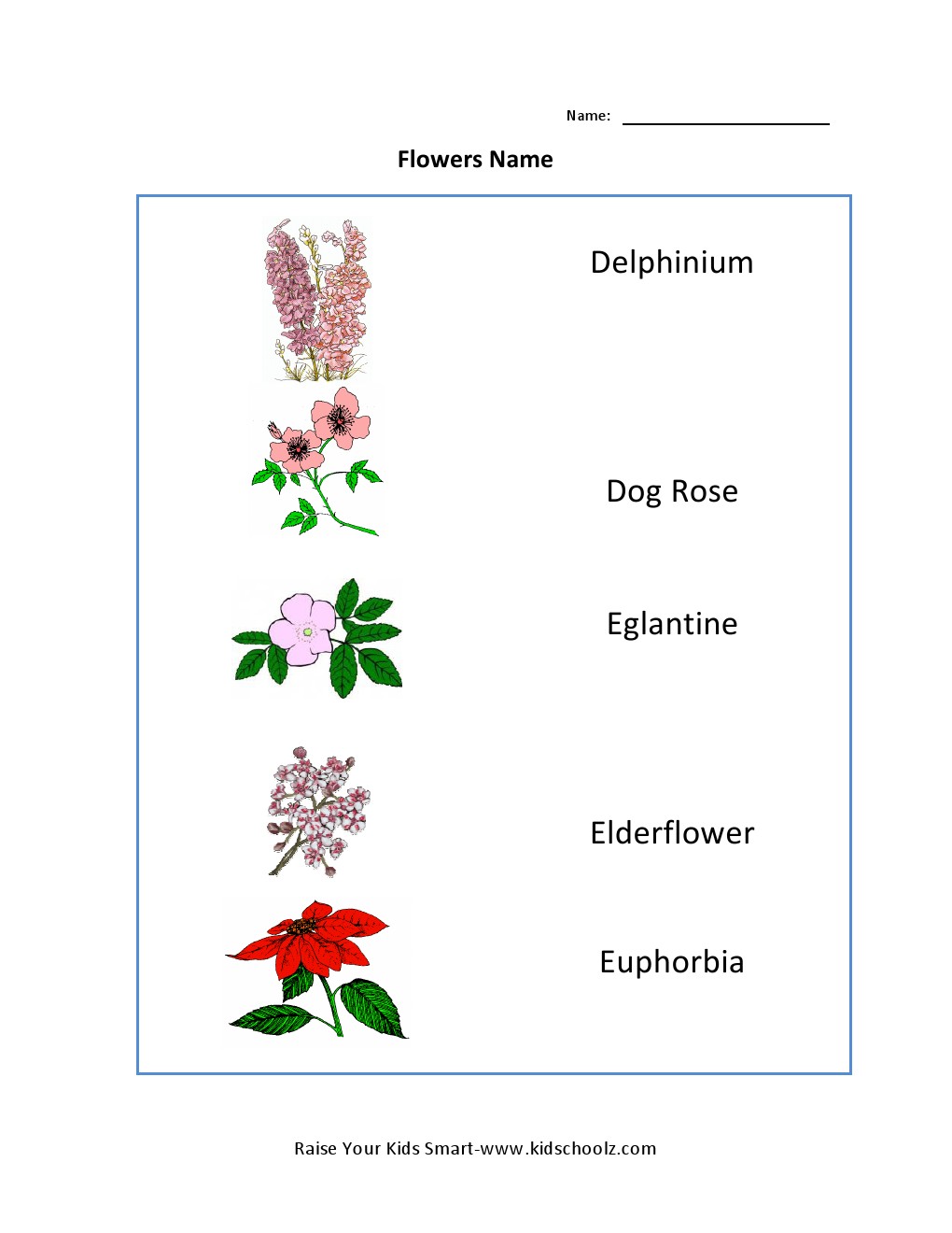 Grade 3 Worksheet