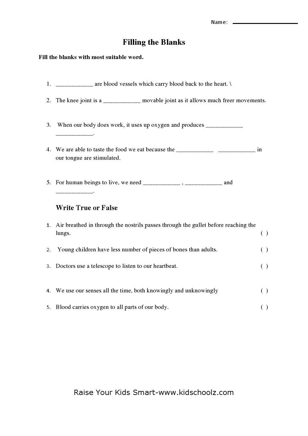 Grade 4 Science Worksheet
