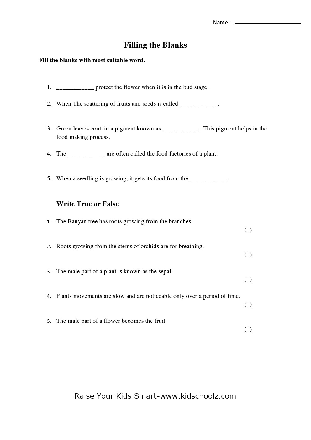 Grade 4 Science Worksheet
