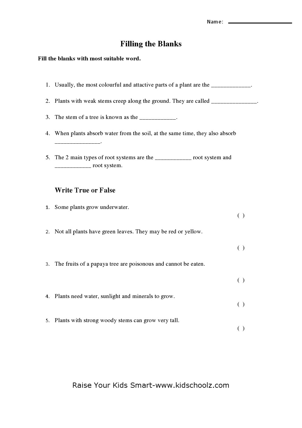 Grade 4 Science Worksheet