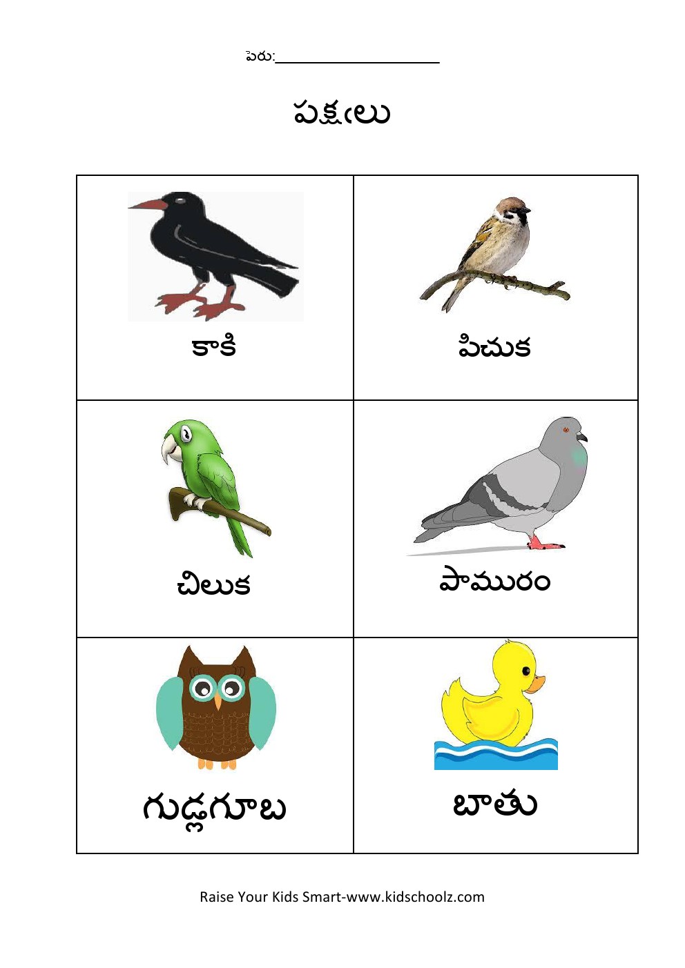 Telugu- Birds worksheet