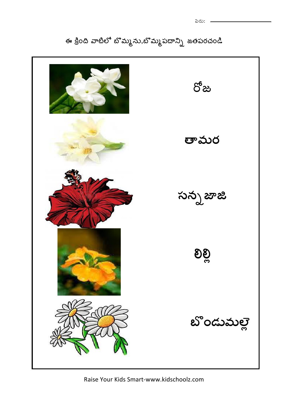 telugu- flowers worksheet 2 - kidschoolz