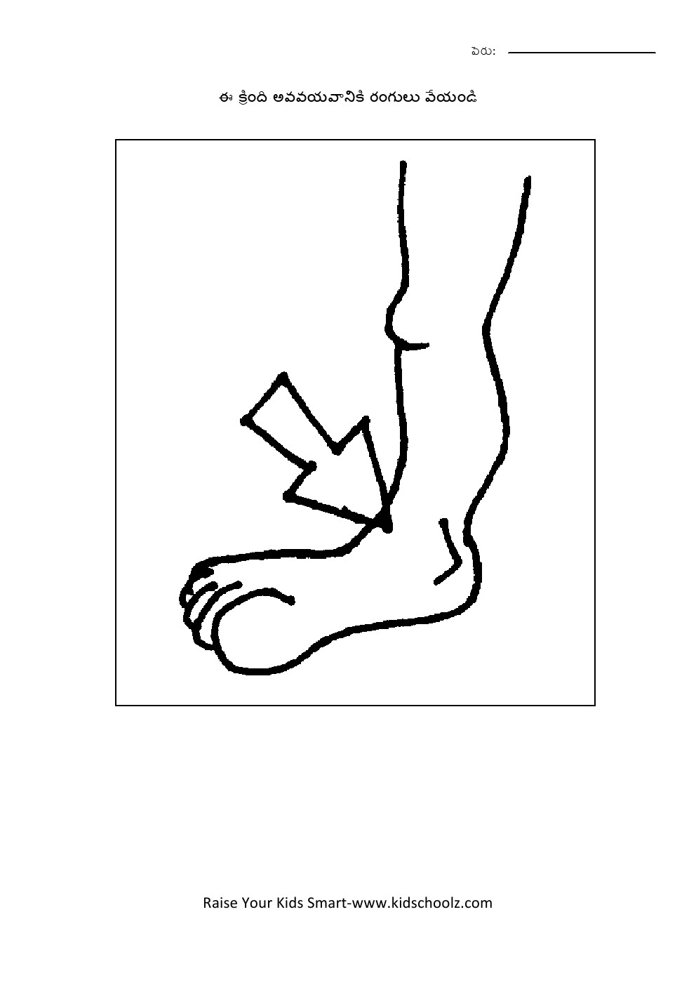 Telugu- body parts worksheet
