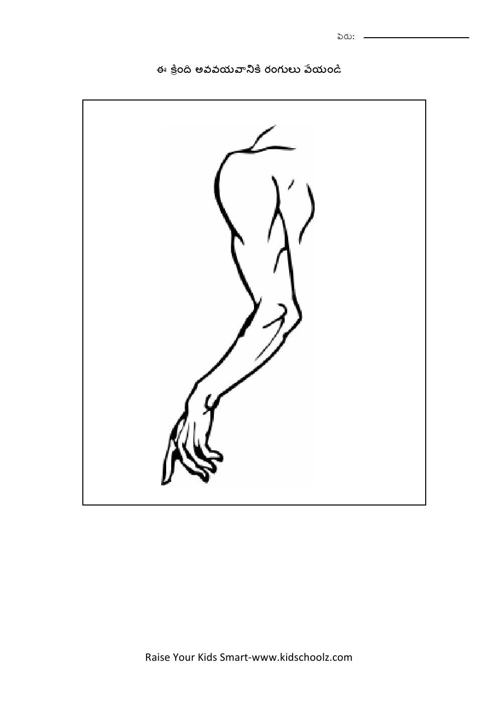 Telugu- body parts worksheet