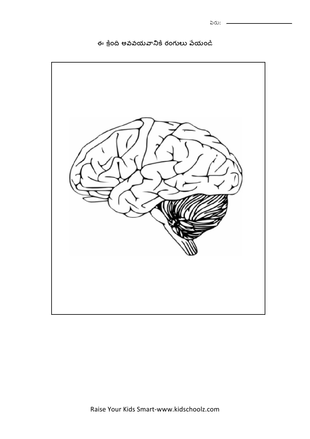Telugu- body parts worksheet