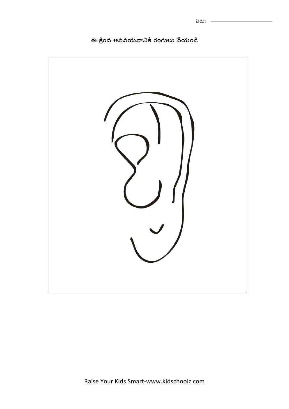Telugu- body parts worksheet