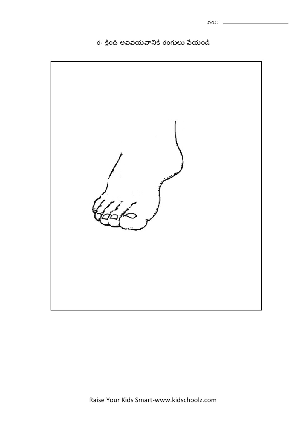 Telugu- body parts worksheet