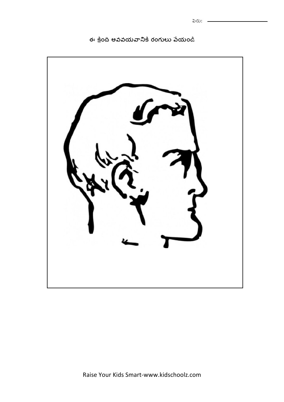 Telugu- body parts worksheet