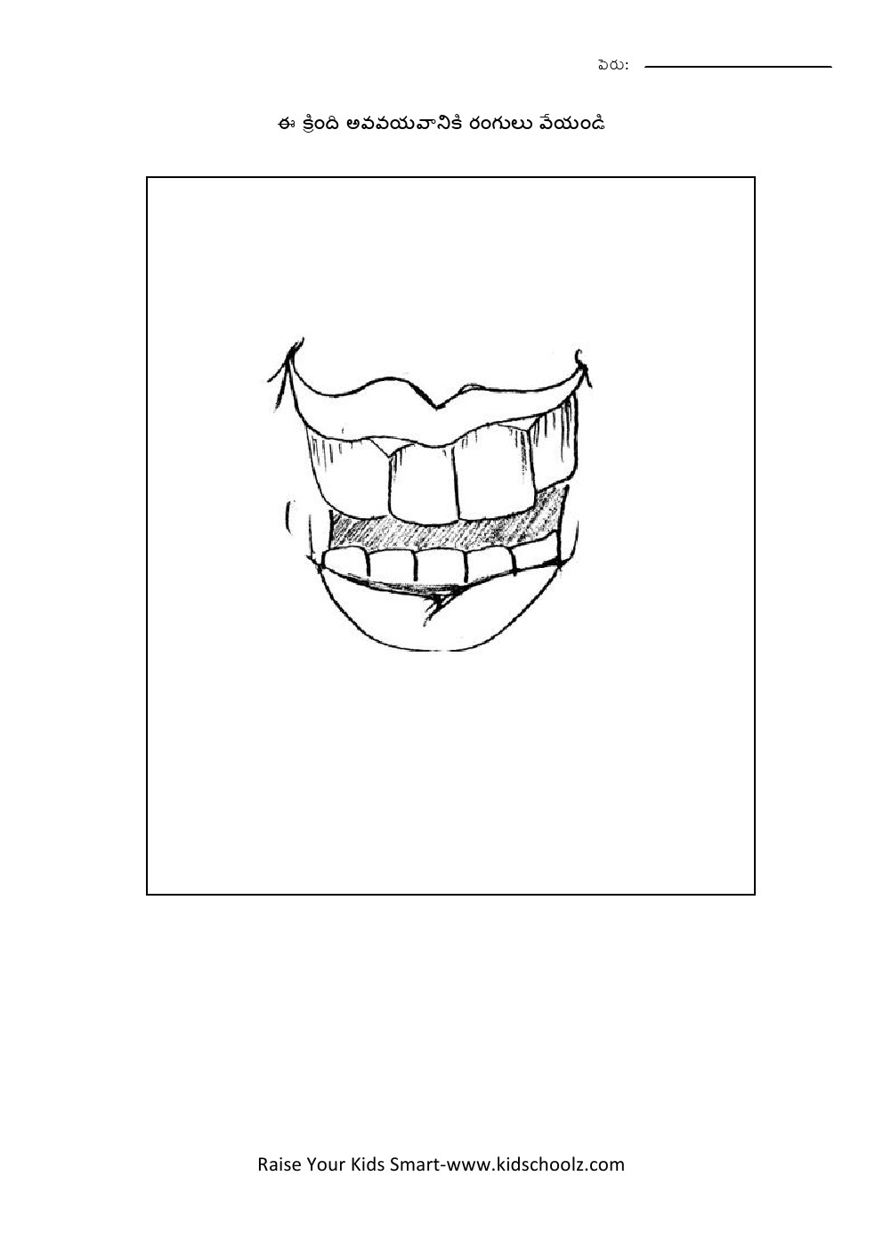 Telugu- body parts worksheet