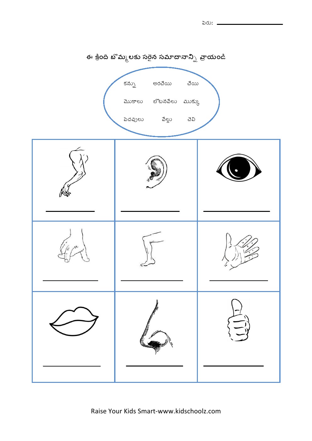 Telugu- body parts worksheet
