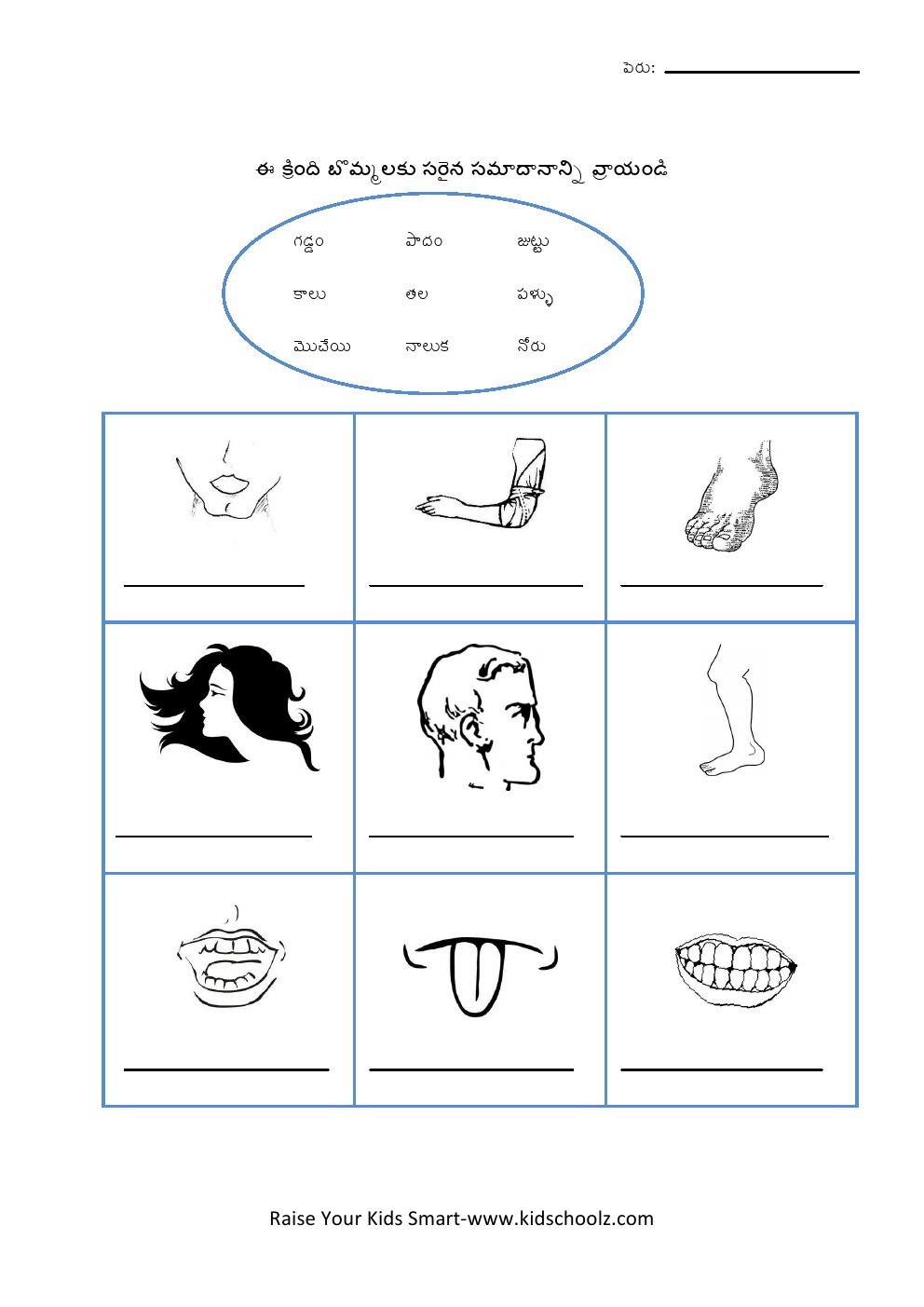 Telugu- body parts worksheet