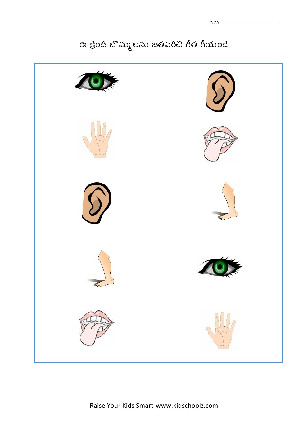 Telugu- body parts worksheet