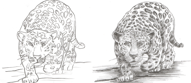 Pencil Sketch Worksheet