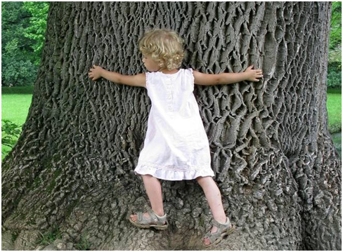 love-tree-day