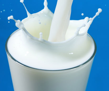 world-milk-day